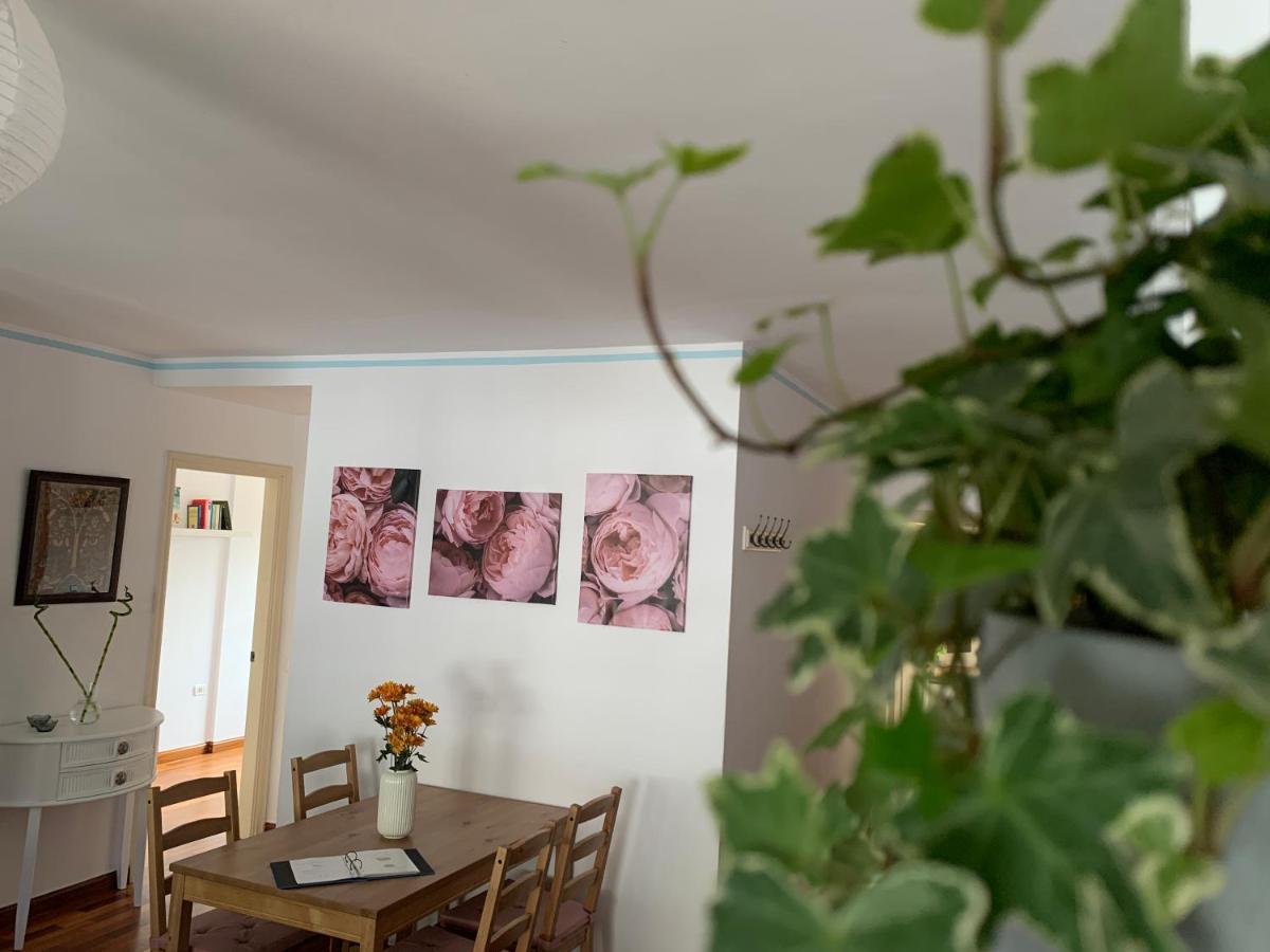 La Casita De Mi Alma - Das Haus Meiner Seele Tegueste エクステリア 写真